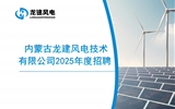 內(nèi)蒙古龍建風電技術有限公司2025年度招聘