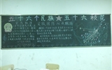 汽車工程系開展第十二個民族團結(jié)進(jìn)步宣傳月主題班會活動