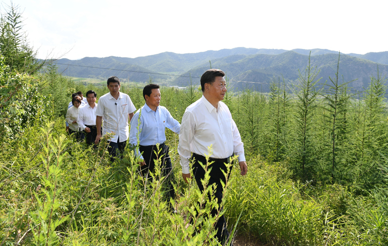 7月15日至16日，中共中央總書記、國家主席、中央軍委主席習近平在內(nèi)蒙古考察并指導開展“不忘初心、牢記使命”主題教育。這是15日下午，習近平在赤峰市喀喇沁旗馬鞍山林場林區(qū)，沿著崎嶇的護林小道察看林木長勢。