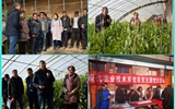 現(xiàn)代農(nóng)業(yè)技術(shù)系開展“喜迎己亥新春佳節(jié)、送科技送文化下鄉(xiāng)”主題黨日活動(dòng)