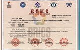 2023年一帶一路暨金磚國(guó)家技能發(fā)展與技術(shù)創(chuàng)新大賽新型電力系統(tǒng)的設(shè)計(jì)實(shí)施賽項(xiàng)一等獎(jiǎng)